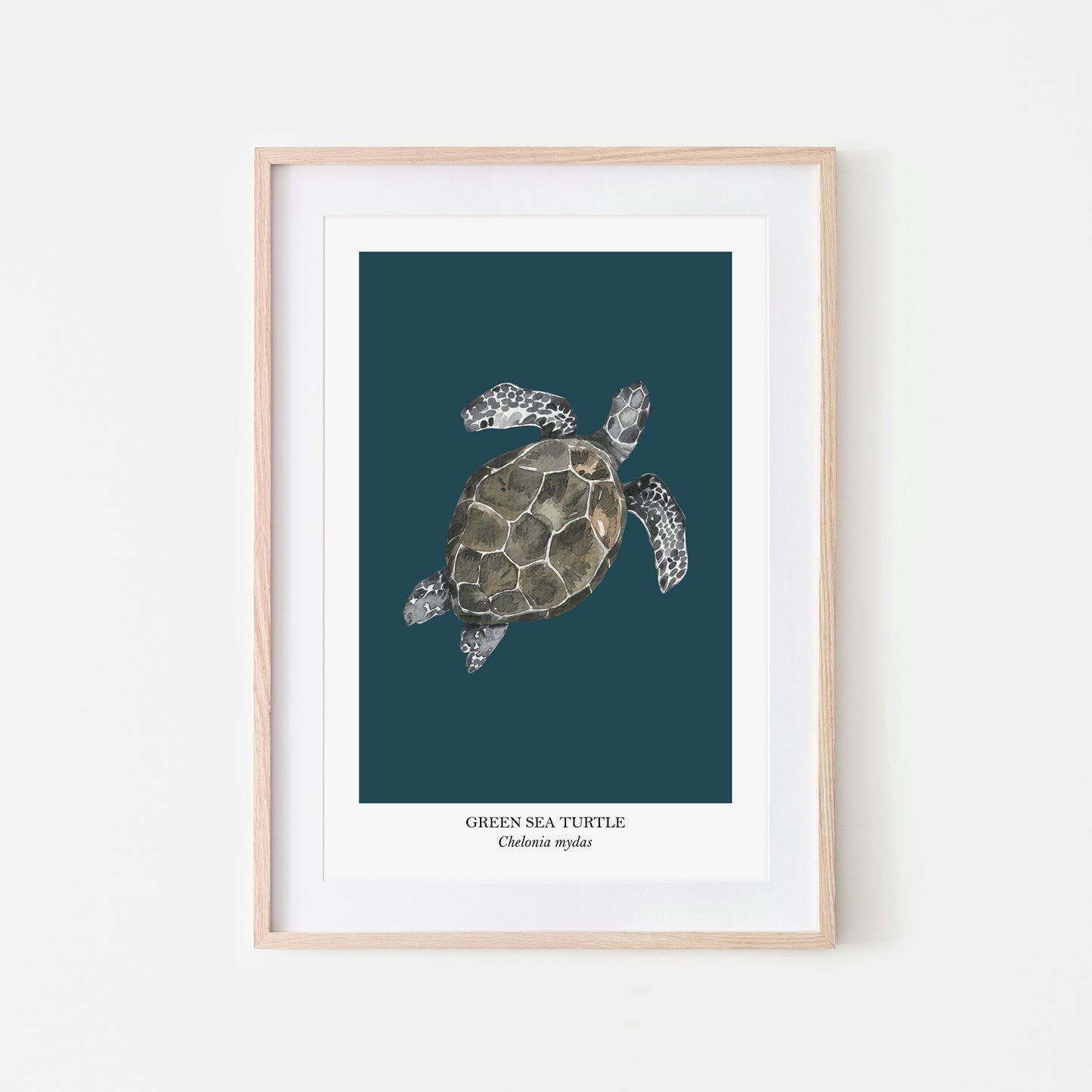 Sea-Turtle-Watercolour-Sea-Creature-Wall-Art-in-Navy-Blue