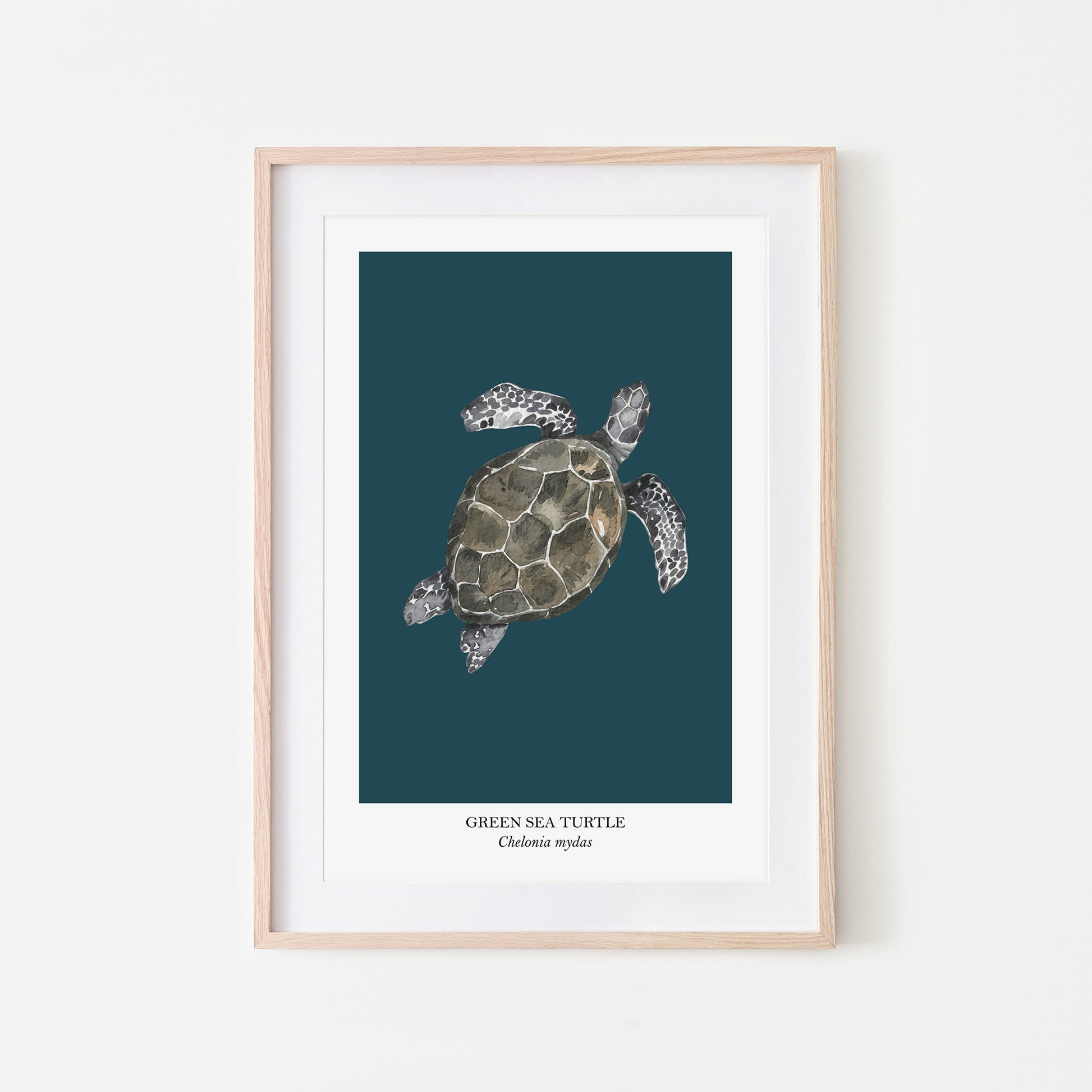 Sea-Turtle-Watercolour-Sea-Creature-Wall-Art-in-Navy-Blue