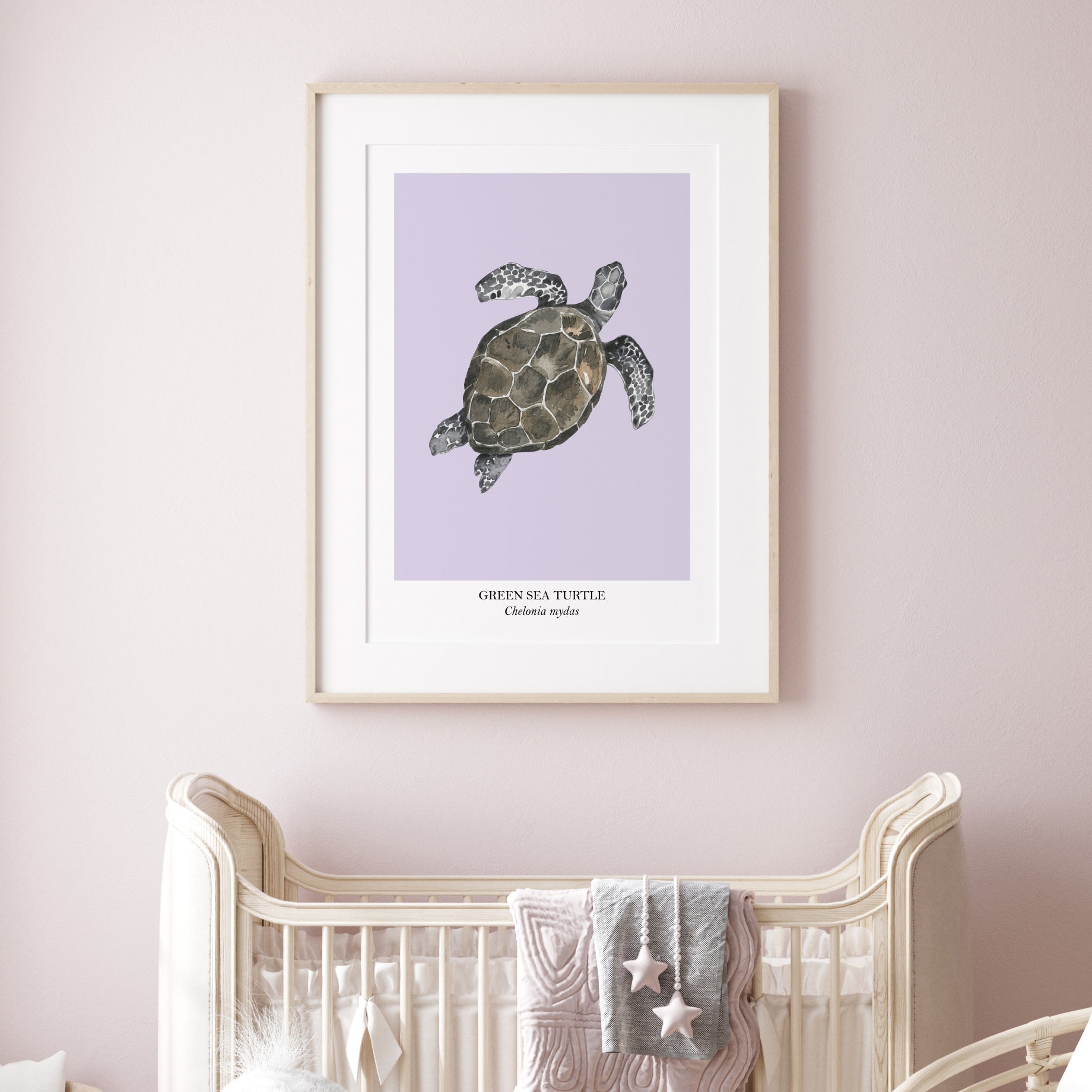 Sea-Turtle-Watercolour-Sea-Creature-Wall-Art-in-Peri-Purple-Website-Main-Image