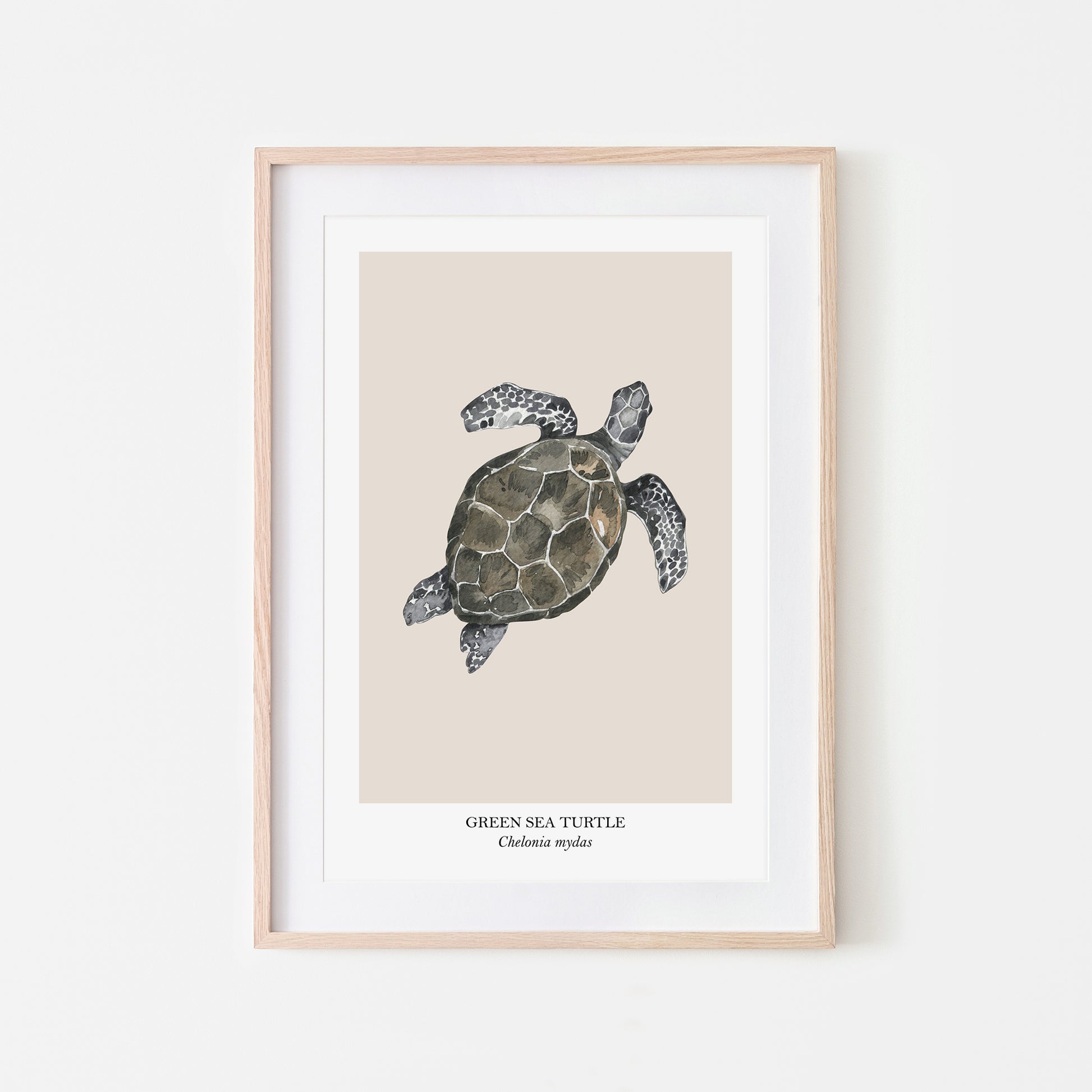 Sea-Turtle-Watercolour-Sea-Creature-Wall-Art-in-Sand