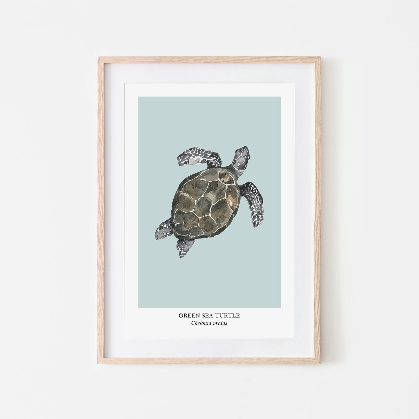 Sea-Turtle-Watercolour-Sea-Creature-Wall-Art-in-Shell-Blue