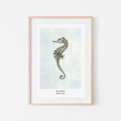 Seahorse-Watercolour-Sea-Creature-Wall-Art-in-Cloudy