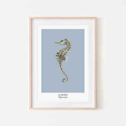 Seahorse-Watercolour-Sea-Creature-Wall-Art-in-Fog-Blue