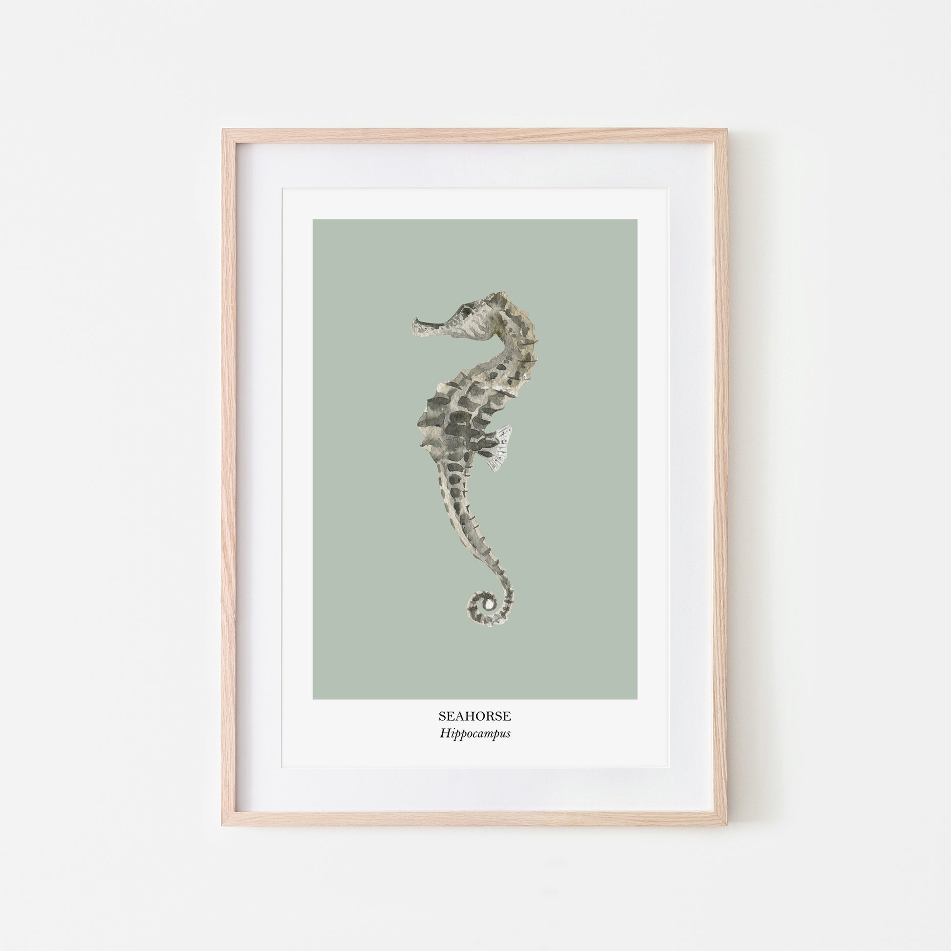 Seahorse-Watercolour-Sea-Creature-Wall-Art-in-Mist-Green