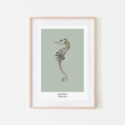 Seahorse-Watercolour-Sea-Creature-Wall-Art-in-Mist-Green