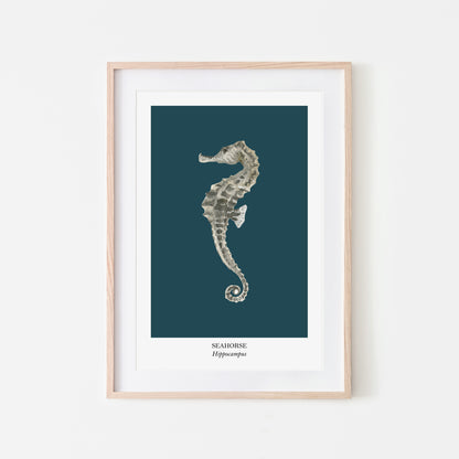 Seahorse-Watercolour-Sea-Creature-Wall-Art-in-Navy-Blue