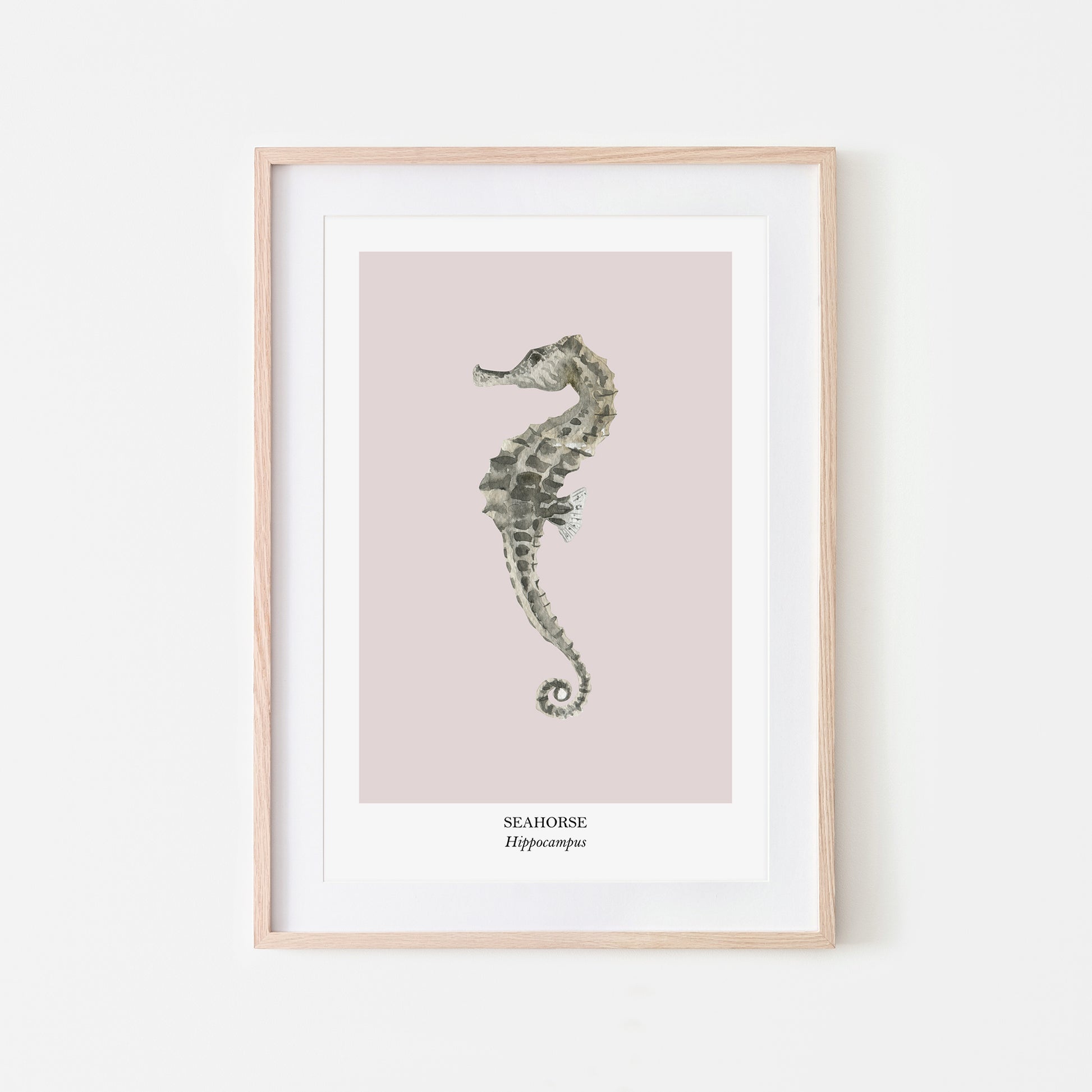 Seahorse-Watercolour-Sea-Creature-Wall-Art-in-Pointe-Pink