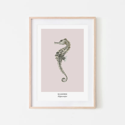 Seahorse-Watercolour-Sea-Creature-Wall-Art-in-Pointe-Pink