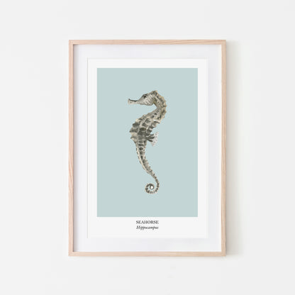 Seahorse-Watercolour-Sea-Creature-Wall-Art-in-Shell-Blue