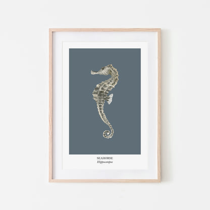 Seahorse-Watercolour-Sea-Creature-Wall-Art-in-Sky-Blue