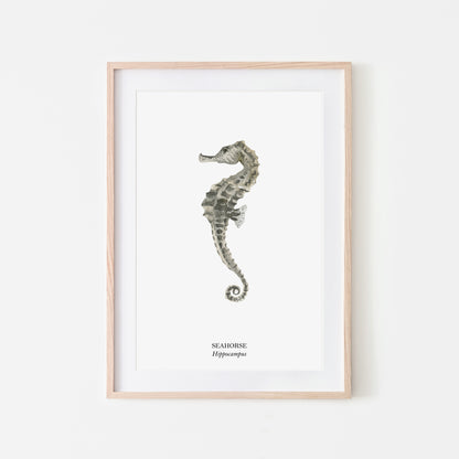 Seahorse-Watercolour-Sea-Creature-Wall-Art-in-White