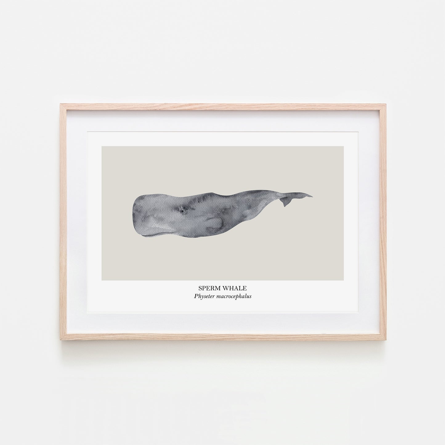 Sperm-Whale-Watercolour-Sea-Creature-Wall-Art-in-Linen