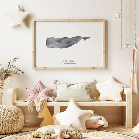 Sperm-Whale-Watercolour-Sea-Creature-Wall-Art-in-White-Website-Main-Image