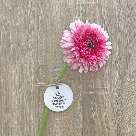 Teacher-Plant-Seeds-That-Grow-Forever-Circle