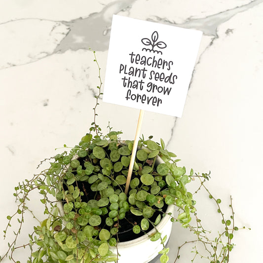 Teachers-Plant-Seeds-That-Grow-Forever-Square
