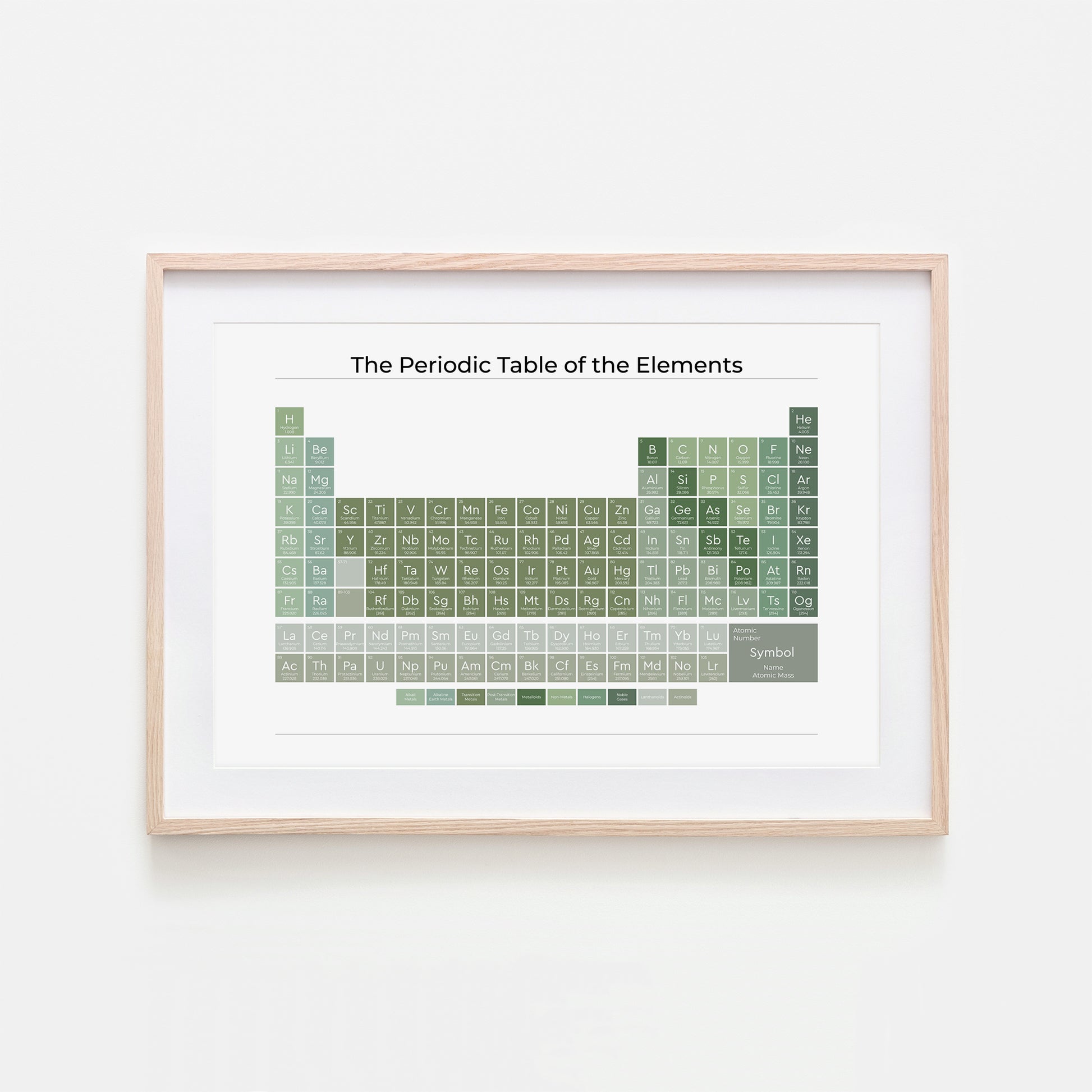 The-Periodic-Table-of-the-Elements-in-Evergreen-on-White