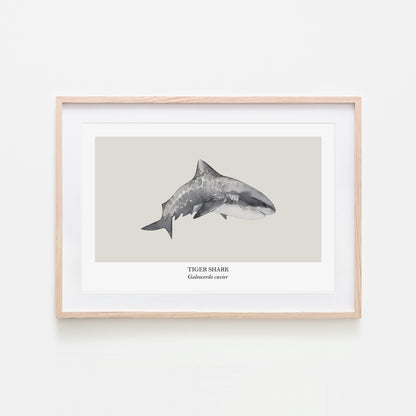 Tiger-Shark-Watercolour-Sea-Creature-Wall-Art-in-Linen