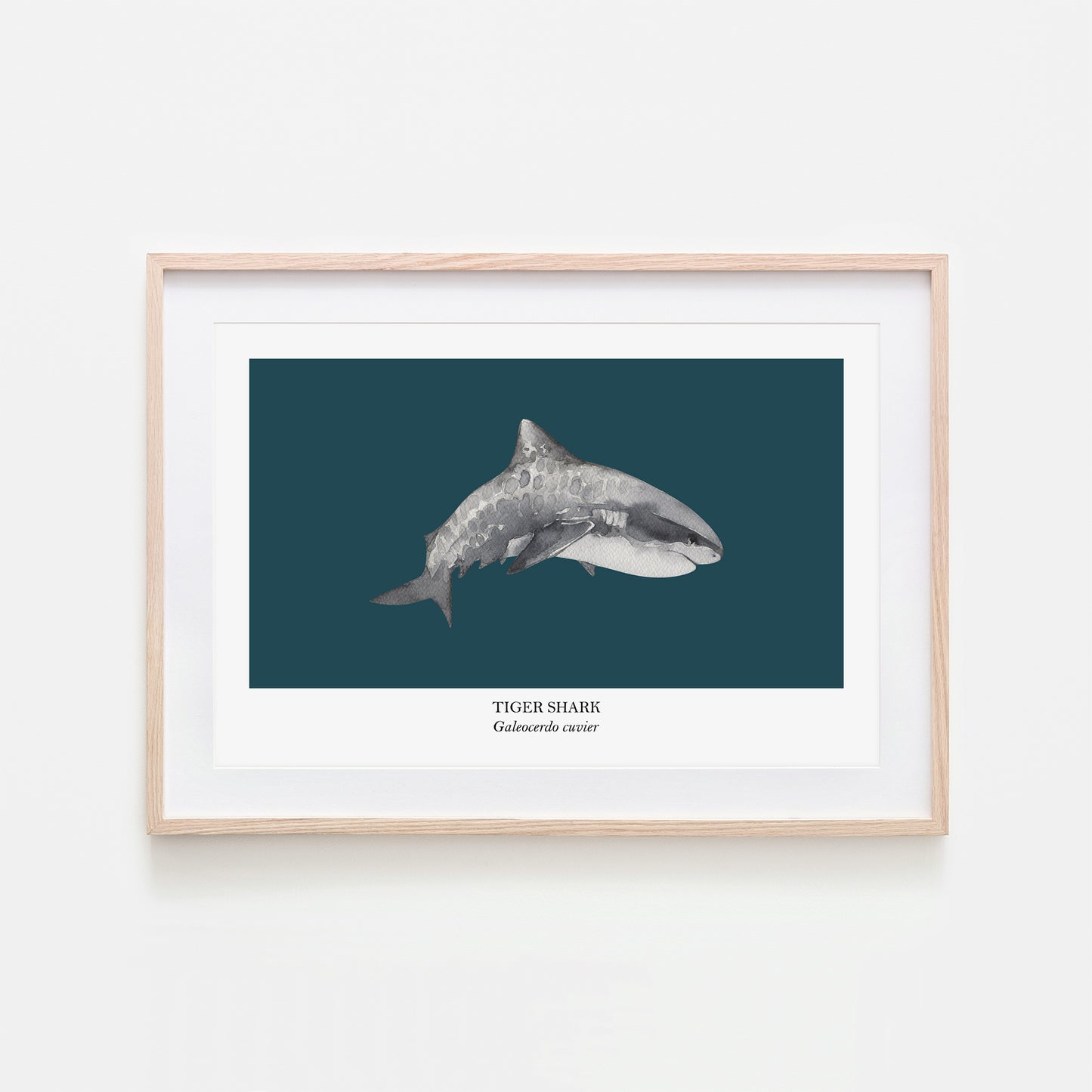 Tiger-Shark-Watercolour-Sea-Creature-Wall-Art-in-Navy-Blue