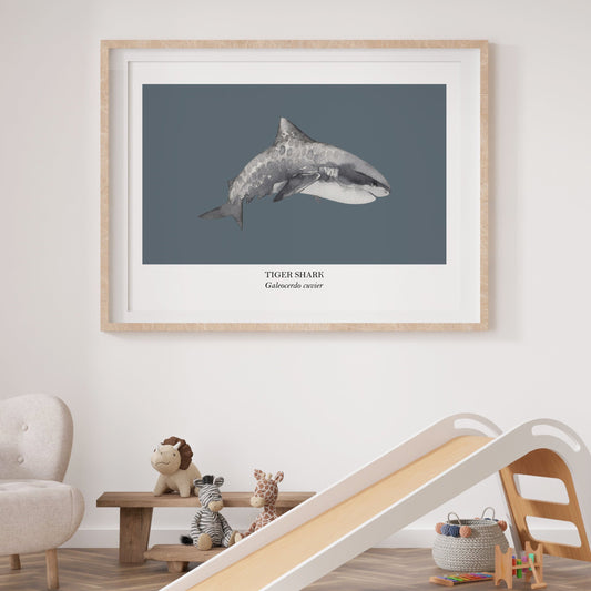 Tiger-Shark-Watercolour-Sea-Creature-Wall-Art-in-Sky-Blue-Website-Main-Image